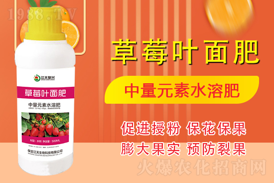 �����l(f��)չ������(chu��ng)δ�����������ﺞ�s1988.TV������(chu��ng)���x����