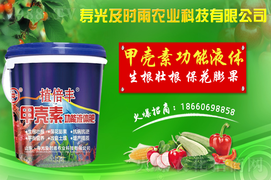     �۹⼰�r(sh��)���٠��ֻ��r(n��ng)���W(w��ng)�����r(n��ng)�Y�ИI(y��)ע����(d��ng)����