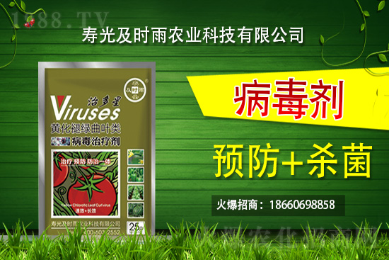     �۹⼰�r(sh��)���٠��ֻ��r(n��ng)���W(w��ng)�����r(n��ng)�Y�ИI(y��)ע����(d��ng)����