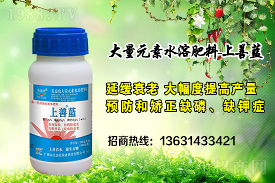 �V���������r(n��ng)�ٶȔy��1988.TV���y�ֹ���(chu��ng)��(zh��n)��(j��)��