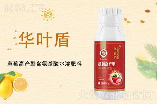 氯化鉀價格上漲，2021年9月10日鉀肥價格行情