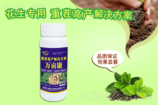 二銨暫穩(wěn)為主，20219月10日磷銨價格行情報價