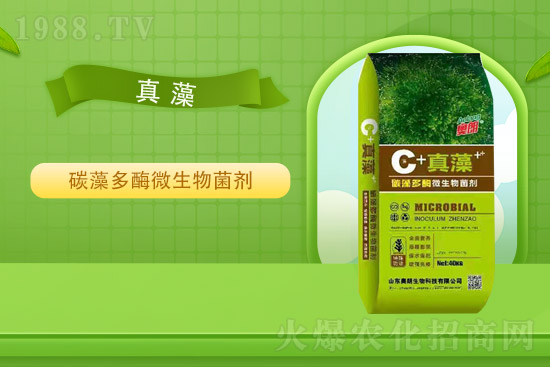 �Ȼ�⛃r(ji��)��ƽ��(w��n)��2021��9��2�Շ���(n��i)⛷ʃr(ji��)���߄�