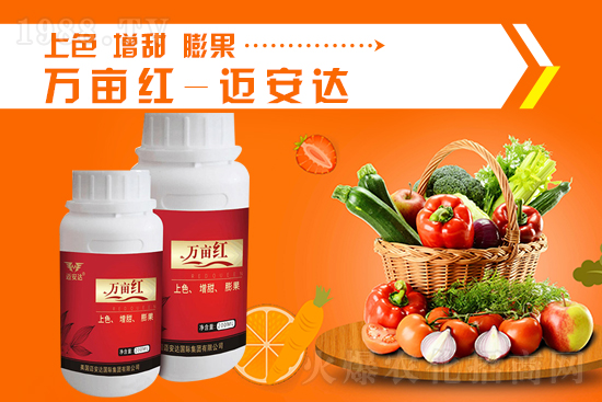 2021��9��24�Շ���(n��i)⛷ʃr(ji��)�������߄�(sh��)