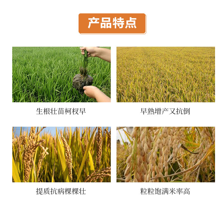 C-_Users_1988_Desktop_ɽ�����r(n��ng)�����＼�g(sh��)�ɷ����޹�˾_03