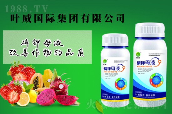 氯化鉀價(jià)格上漲，2021年9月6日鉀肥價(jià)格行情日?qǐng)?bào)：
