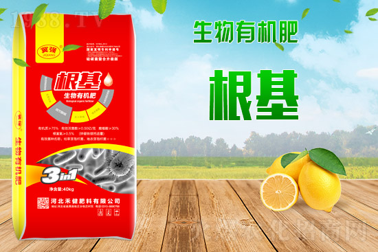 2021��9��9��⛷ʃr(ji��)���������(b��o)