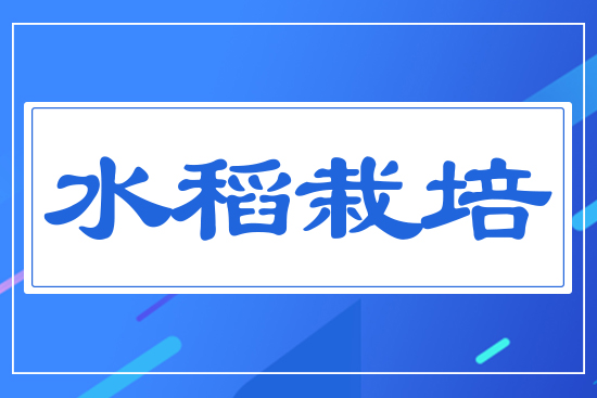 ˮ������