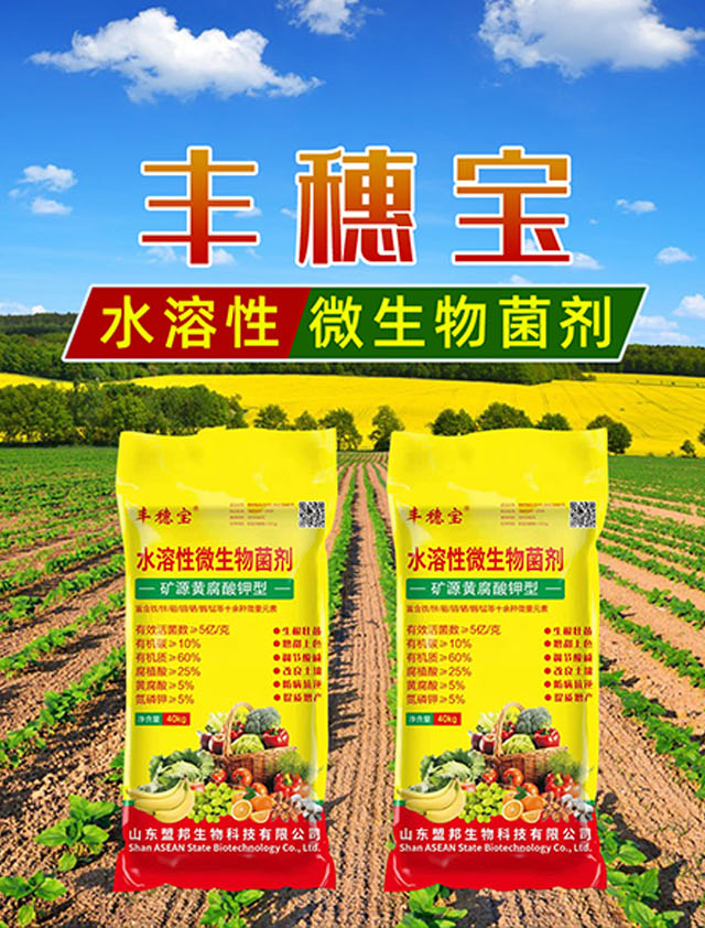 �S�݌�-�˰�_01