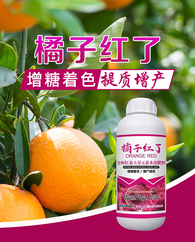 ���Ӽt��-�����r_01