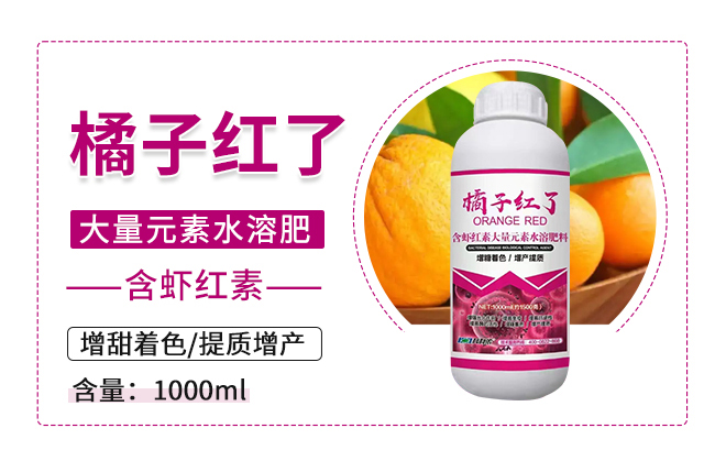 ���Ӽt��-�����r_03