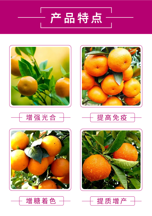 ���Ӽt��-�����r_04