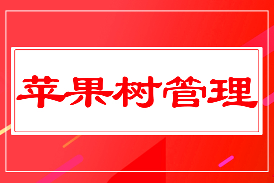 �O�������