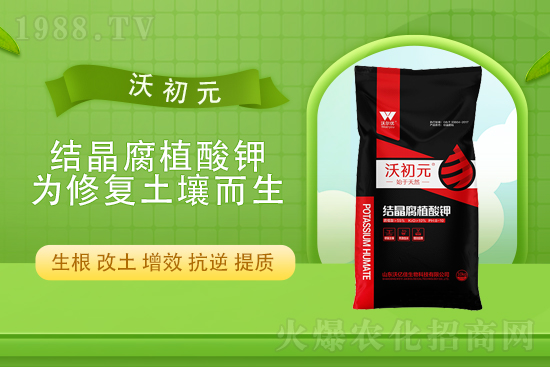 ⛷ʃr(ji��)������Xһ�������Շ�(gu��)��(n��i)⛷��Ј�(ch��ng)��(b��o)�r(ji��)