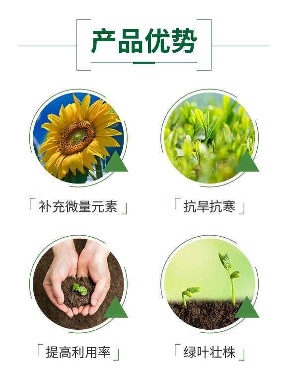 ɽ����(y��u)ؐʩ�r(n��ng)�I(y��)�Ƽ����޹�˾-����_03