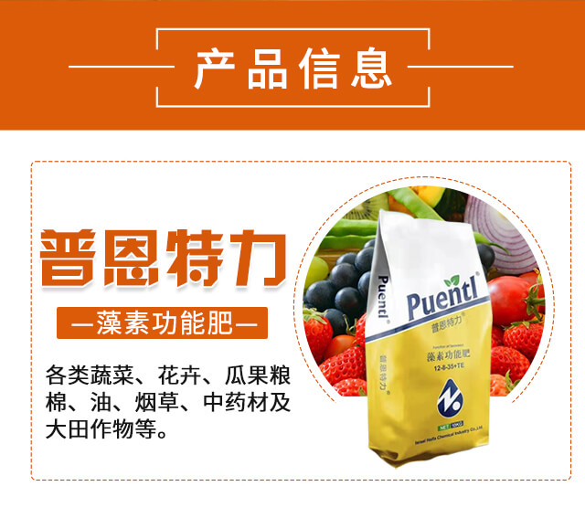 �ն�����-�����طN�ʘI(y��)_02