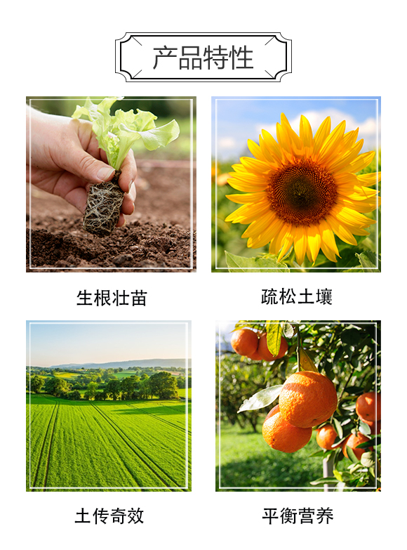 �����п��r(n��ng)�I(y��)�Ƽ��о�Ժ-��Ʒ�����_03