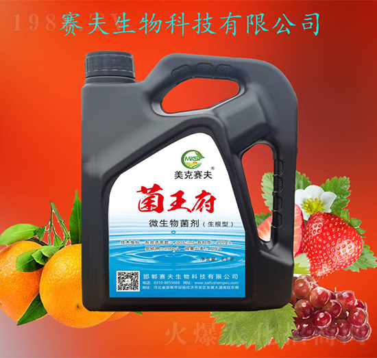 ������΢�������-����ِ��2