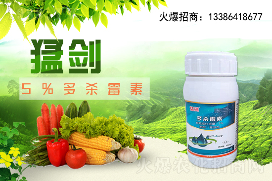 ���ݳ��݄�