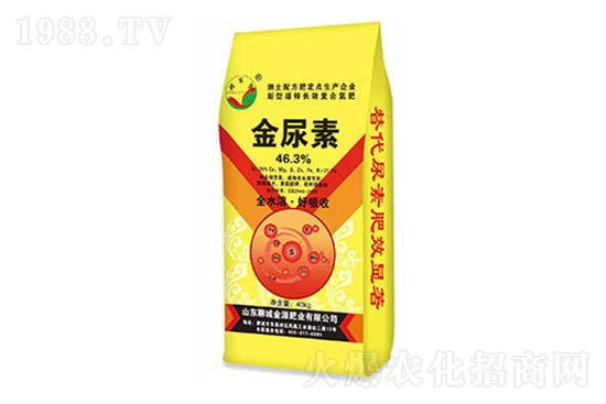 ���؃r���ϝq��2022.3.11���؃r������һ�[