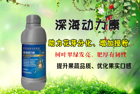 ���r(n��ng)���W(w��ng)ϲӭ�������������r(n��ng)�����s���v1988.TV��