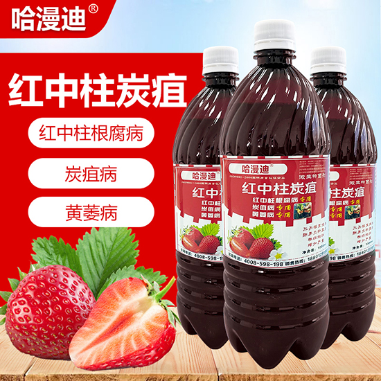 紅中柱炭疽-鑫科植保2