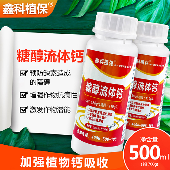 500ml�Ǵ����w�}-�ο�ֲ��2