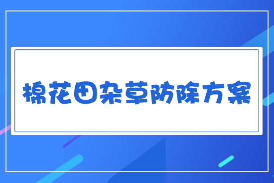 �s�ݷ���