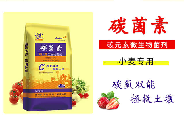 ̼Ԫ��΢�������-��ķɳ_02