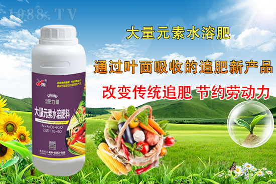 �����仨����������Ͳ��ü������l(f��)�������ٻ����������E���@��