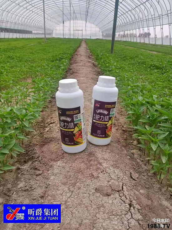 �����仨����������Ͳ��ü������l(f��)�������ٻ����������E���@��