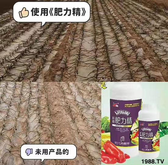 �����仨����������Ͳ��ü������l(f��)�������ٻ����������E���@��