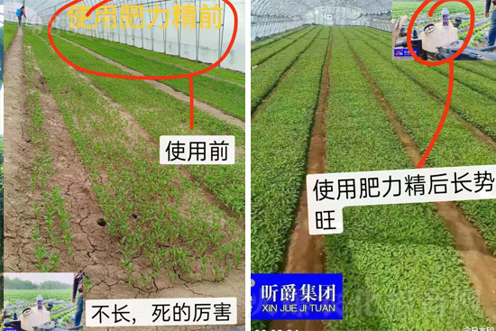 �����仨����������Ͳ��ü������l(f��)���ܣ��ٻ����������E���@��