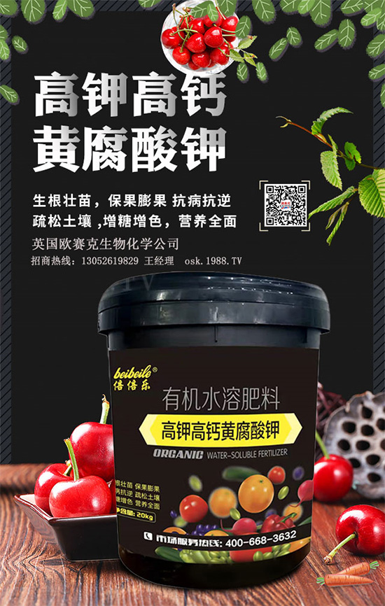 һ���S�����=�����������������ЙC(j��)�ʣ��S����⛞�����������