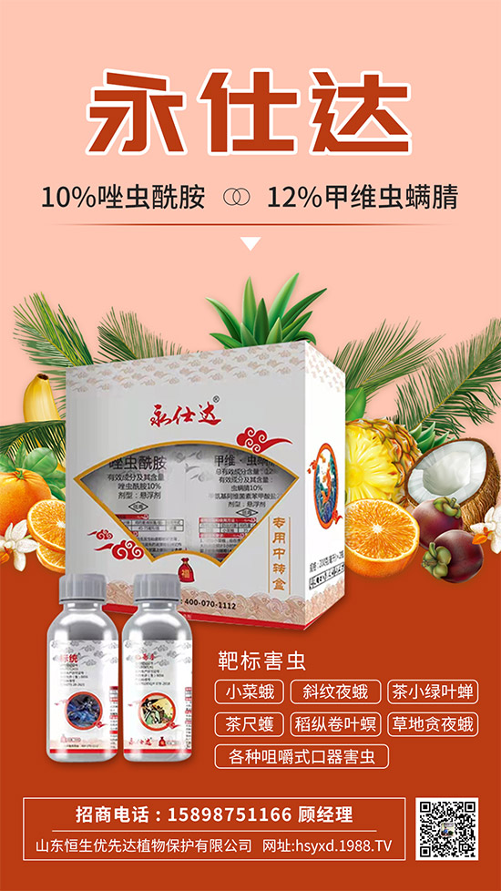 С�˶��η����y��С�˶�Σ���Y����δ�ʩ��