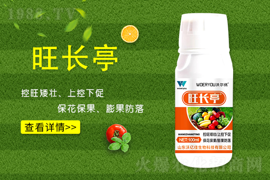 ʲô���S�����L���S�����L�ķ��ش�ʩ