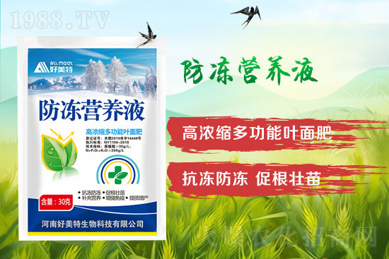 小麥倒春寒怎么預防？發(fā)生倒春寒的小麥怎么補救