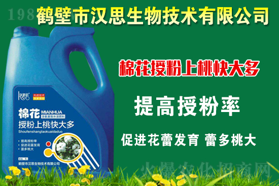 �޻��Nֲ��ô�������޻������L�ڹ���Ҫ�c(di��n)