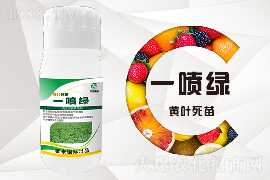 �����߲������ʲô������������ô��Q��