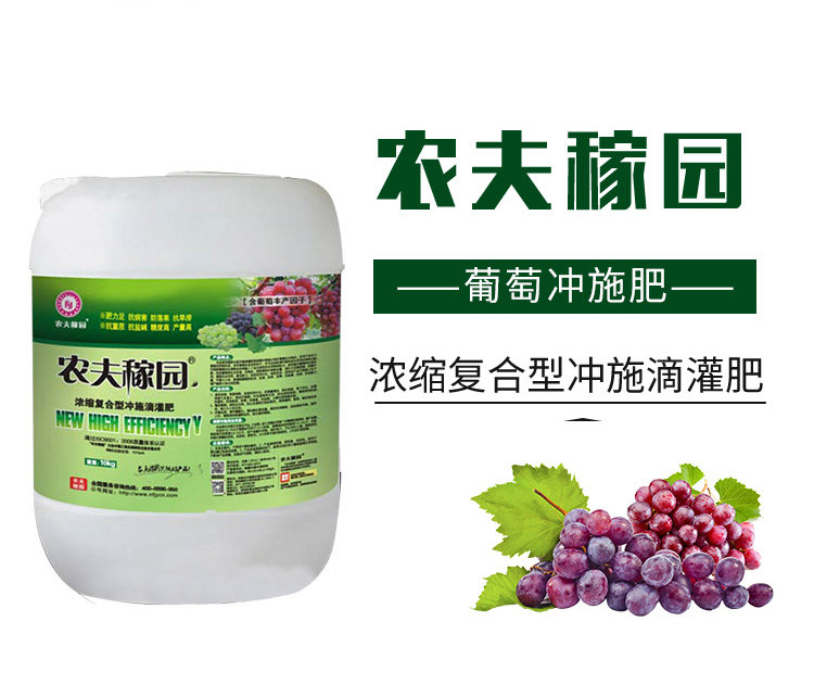 ���ћ_ʩ��-�r(n��ng)��ڈ@_02