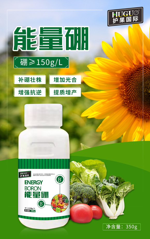 護(hù)果國(guó)際855863_01