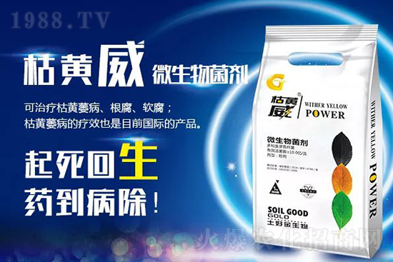 枯黃萎、立枯等病害怎樣滅殺？用它就夠了！