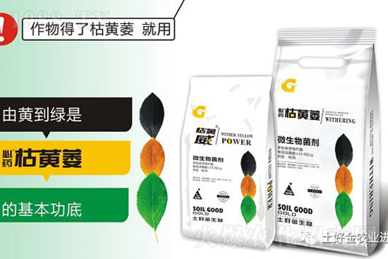 枯黃萎、立枯等病害怎樣滅殺？用它就夠了！