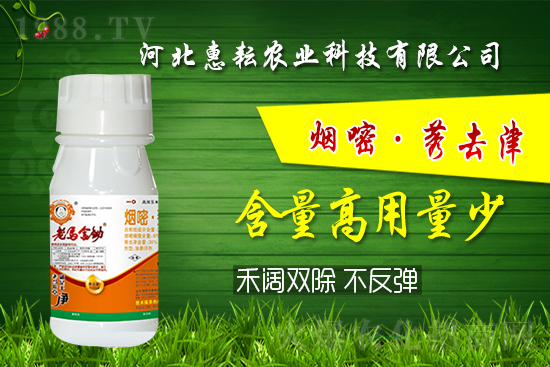 封殺雙效！禾闊通除！玉米田除草記住這個配方就夠了! 