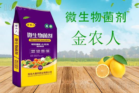 小麥科學(xué)防范“倒春寒”，該怎么做？