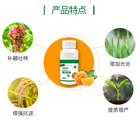 護(hù)果國(guó)際855863_03