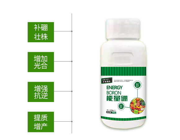 護(hù)果國(guó)際855863_02