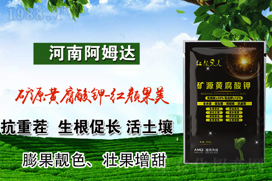 2022年3月4日國(guó)內(nèi)鉀肥價(jià)格行情