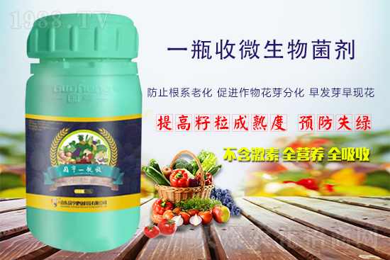 火爆農(nóng)化網(wǎng)喜迎新盟友，攜手國亨肥業(yè)共走財(cái)富之路！