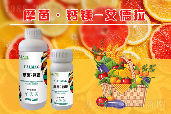 �����a�}�S���ځ���������a���}�V����